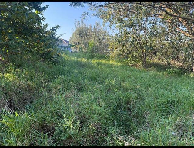 LAND FOR SALE IN ZINI RIVER ESTATE